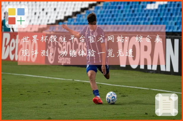 世界杯投注平台官方网站：综合表现评测，功能体验一览无遗