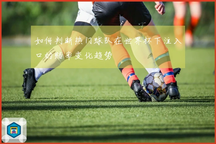如何判断热门球队在世界杯下注入口的赔率变化趋势