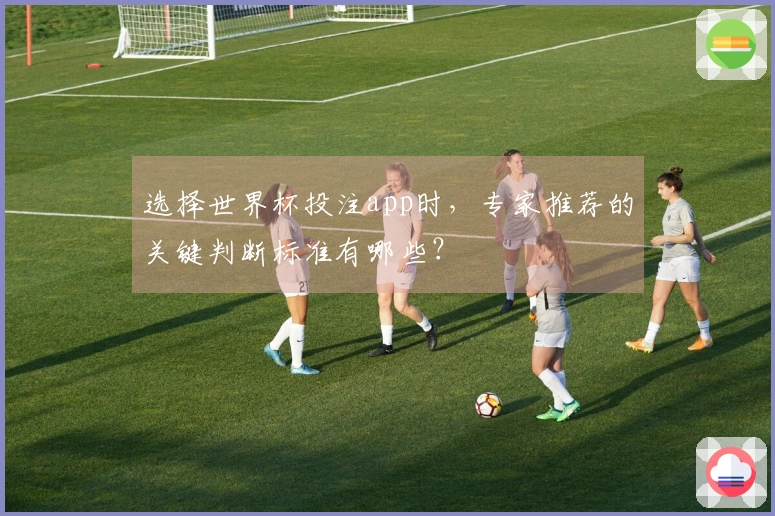 选择世界杯投注app时，专家推荐的关键判断标准有哪些？