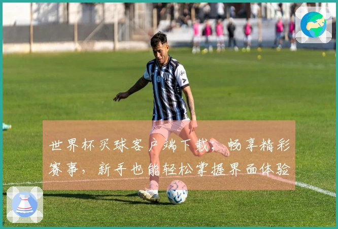 世界杯买球客户端下载：畅享精彩赛事，新手也能轻松掌握界面体验指南