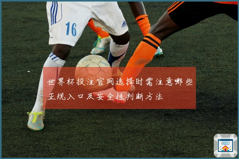 世界杯投注官网选择时需注意哪些正规入口及安全性判断方法