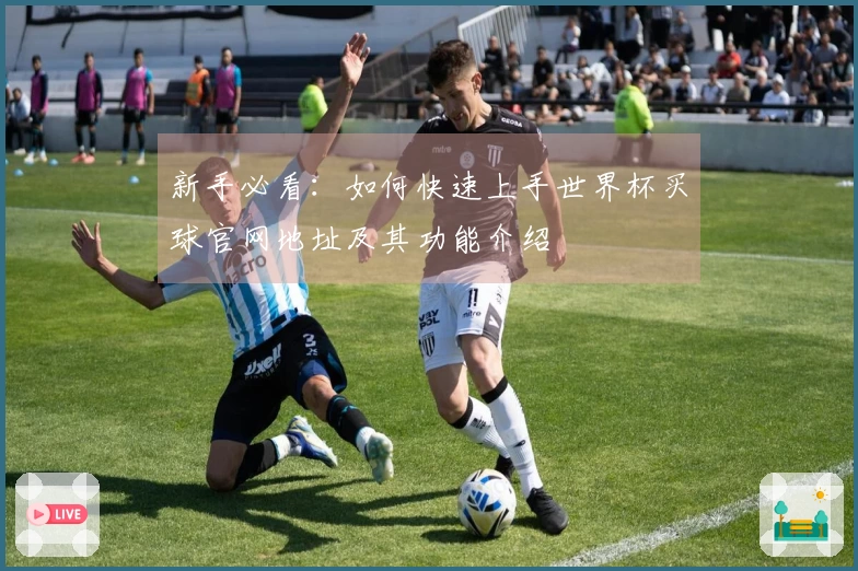 新手必看：如何快速上手世界杯买球官网地址及其功能介绍