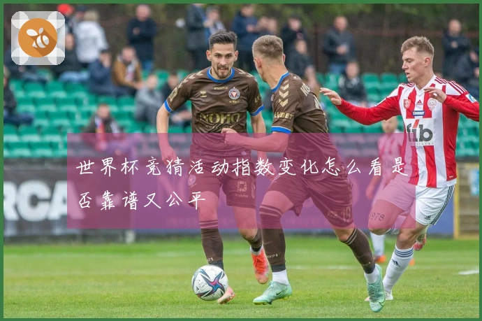 世界杯竞猜活动指数变化怎么看是否靠谱又公平