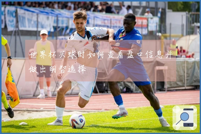 世界杯买球时如何查看盘口信息并做出明智选择