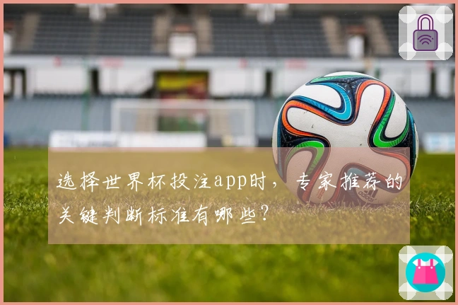 选择世界杯投注app时，专家推荐的关键判断标准有哪些？